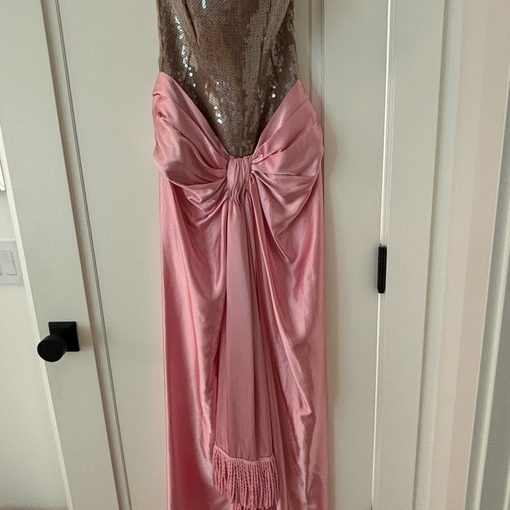 Bronx and Banco NWT Gina Gown in Pink & Nude Gown